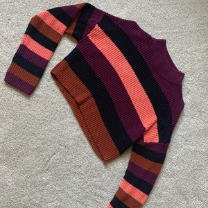 Express crop sweater